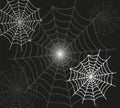 Background of web and spider, outline handmade. Halloween