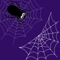 Background of web and spider, outline handmade. Halloween