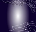 Background of web and spider, outline handmade. Halloween.