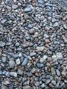 background of wet river rocks in the yard after rain Royalty Free Stock Photo