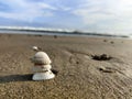 White shells arranged properly in the wet sand with pores. Beach sand with bright sky background.