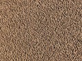 Background of wet sand with pores. Beach sand seamless pattern.