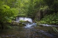 Background which the structure of bracken with a waterfall Royalty Free Stock Photo