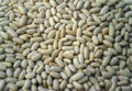 background of white alubia beans. Source of protein and fiber Royalty Free Stock Photo