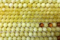Background of white amber balls on a flat surface Royalty Free Stock Photo