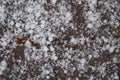 White balls of hail. Royalty Free Stock Photo