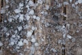 White balls of hail. Royalty Free Stock Photo