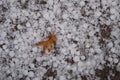 White balls of hail. Royalty Free Stock Photo