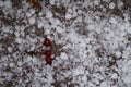 A background of white balls of hail. Royalty Free Stock Photo