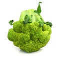 Background white broccoli brocolli diet vegetable raw organic nature vegetables stem fresh health object food vegetari Royalty Free Stock Photo