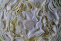 Background of the white cabbage in the cut, macro photography. Closeup, top view. Texture raw half cabbage Royalty Free Stock Photo