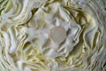 Background of the white cabbage in the cut, macro photography. Closeup, top view. Texture raw half cabbage Royalty Free Stock Photo