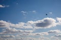 Background of white cumulus clouds in a blue sky. A flying crow against a blue sky Royalty Free Stock Photo