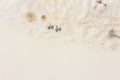 Background of white delicate lace fabric, dry flowers and pearls Royalty Free Stock Photo