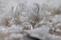 Background White Fuzzy Fluffy cotton scarf close up