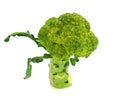 Background white isolated broccoli brocolli diet vegetable raw organic nature vegetables stem fresh health object food vegetari Royalty Free Stock Photo