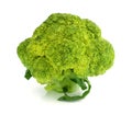 Background white isolated broccoli brocolli diet vegetable raw organic nature vegetables stem fresh health object food vegetari Royalty Free Stock Photo