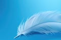 Background white plume soft plumage light feather wing nature bird fluffy abstract