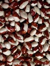 background with white and red beans close-up Royalty Free Stock Photo