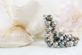 Background of the white sea shells and black pearls. Royalty Free Stock Photo