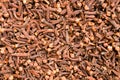 Background of whole dried cloves