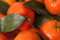 Background of whole fruits of mandarin orange with green leaves Royalty Free Stock Photo