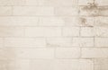 Background of wide cream brick wall texture. Old brown brick wal