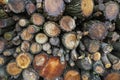 Background wiht stacked firewoods Royalty Free Stock Photo