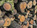 Background wiht stacked firewoods Royalty Free Stock Photo