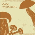 Background with wild hand drawn mushrooms. Can be
