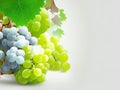 Background of a wine list with luscious white grapes and leaves.