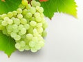 Background of a wine list with luscious white grapes and leaves.