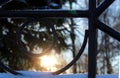 Through the iron fence photographed the winter sun Royalty Free Stock Photo