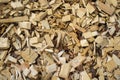 Background of wood chips Royalty Free Stock Photo