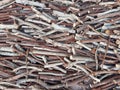 Background of wood chips and logs of dry firewood of different sizes and colors. Full frame of dry wooden dowels. Pile of firewood Royalty Free Stock Photo