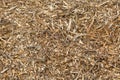 Background of wood chips and sawdust Royalty Free Stock Photo