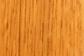 Background wood lacquered orange structure with vertical fibers