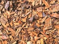 Background of wood shavings and wooden splinters Royalty Free Stock Photo