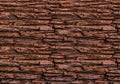 Background wooden bark tree oak texture brown horizontal pattern rustic base Royalty Free Stock Photo