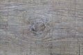 Background of wooden boards with a bough Royalty Free Stock Photo