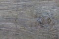 Background of wooden boards with a bough Royalty Free Stock Photo