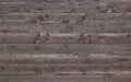 Background of wooden boards in daylight