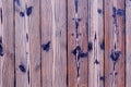 Wood background blue pink vintage wallpaper board multicolored blue door white Royalty Free Stock Photo