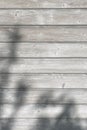 Background of wooden boards with the shadow of branches