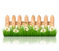 Background with a wooden fence with grass, flowers Royalty Free Stock Photo