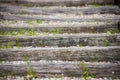 Background of wooden steps, grass and stones Royalty Free Stock Photo