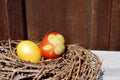 Easter. Two colored eggs lie in a nest made of thin twigs. Royalty Free Stock Photo