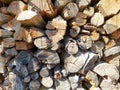 background.  woodpile with wood in the sun Royalty Free Stock Photo