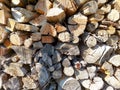 background.  woodpile with wood in the sun Royalty Free Stock Photo