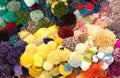 Background wool ponpon very soft and colorful Royalty Free Stock Photo